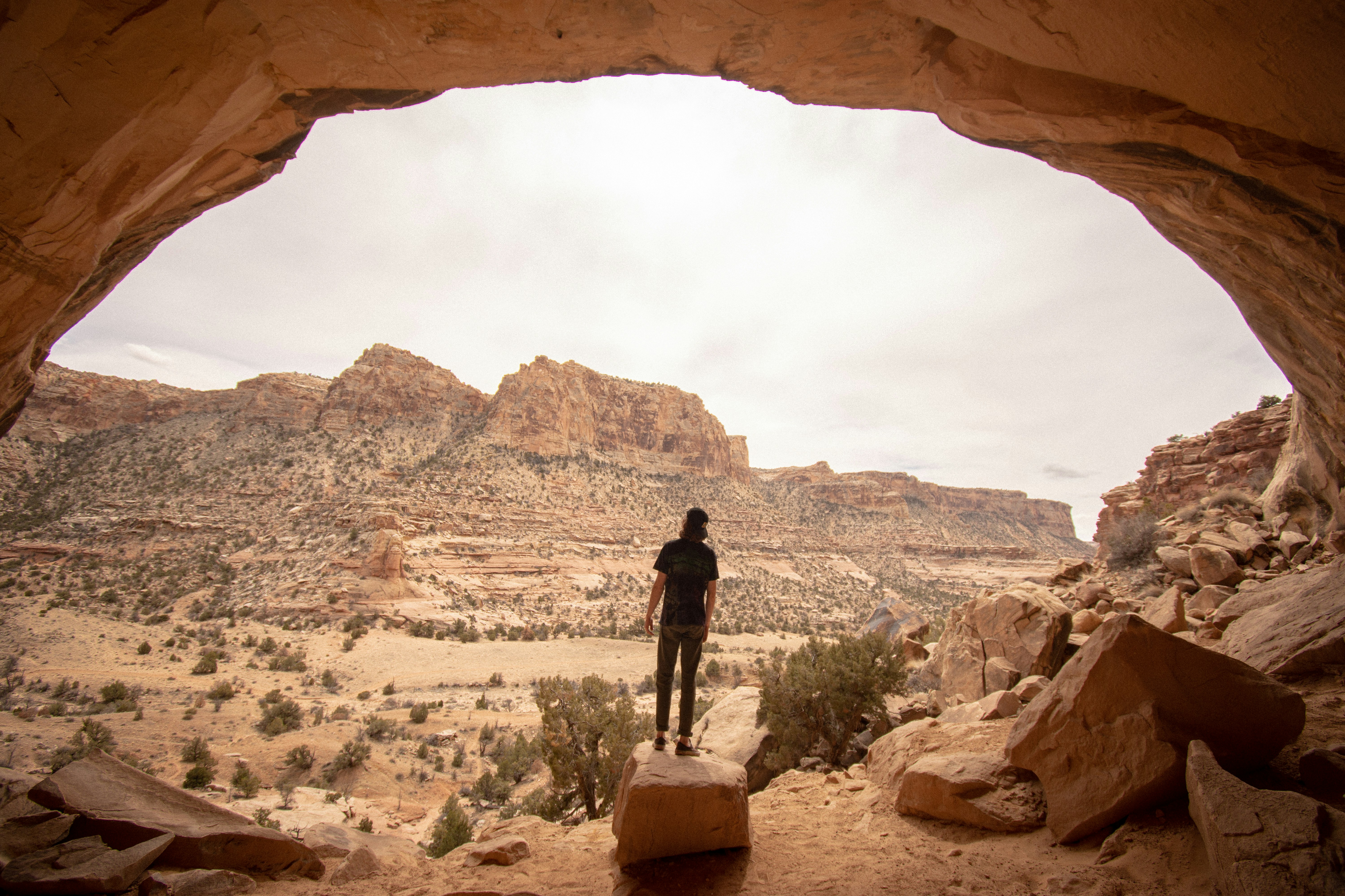 alex-moliski-YNuGyw_tqLs-unsplash 2 alex-moliski-YNuGyw_tqLs-unsplash 2