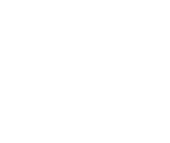 petroglyph-white