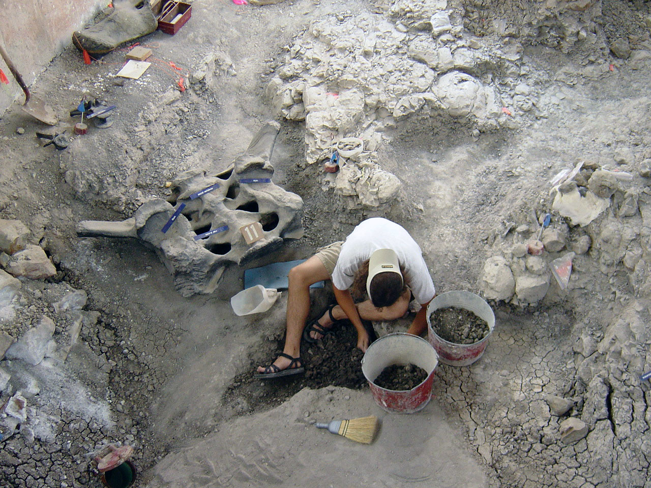 Digging-for-dinosaur-bones-Quarry