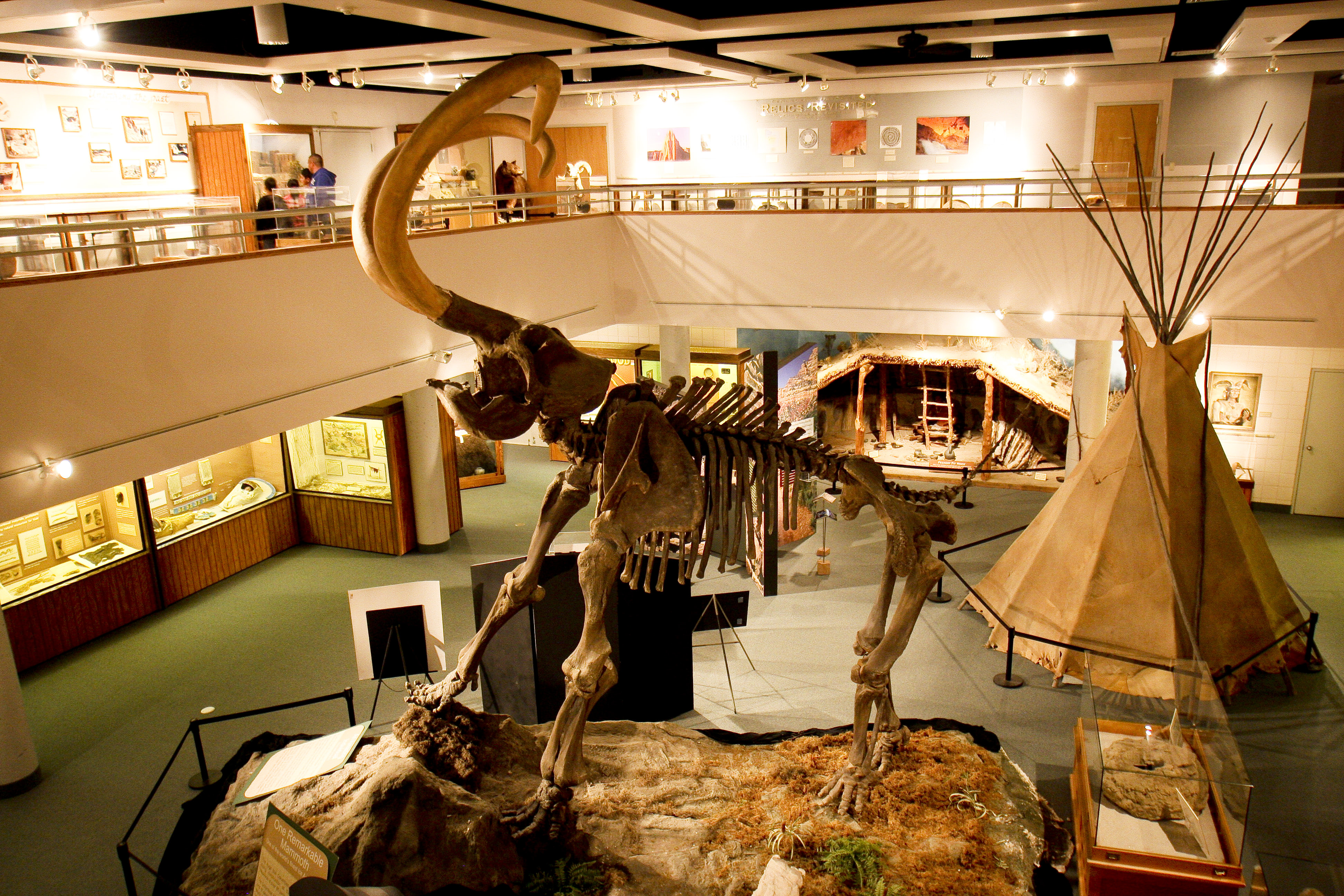 prehistoric museum