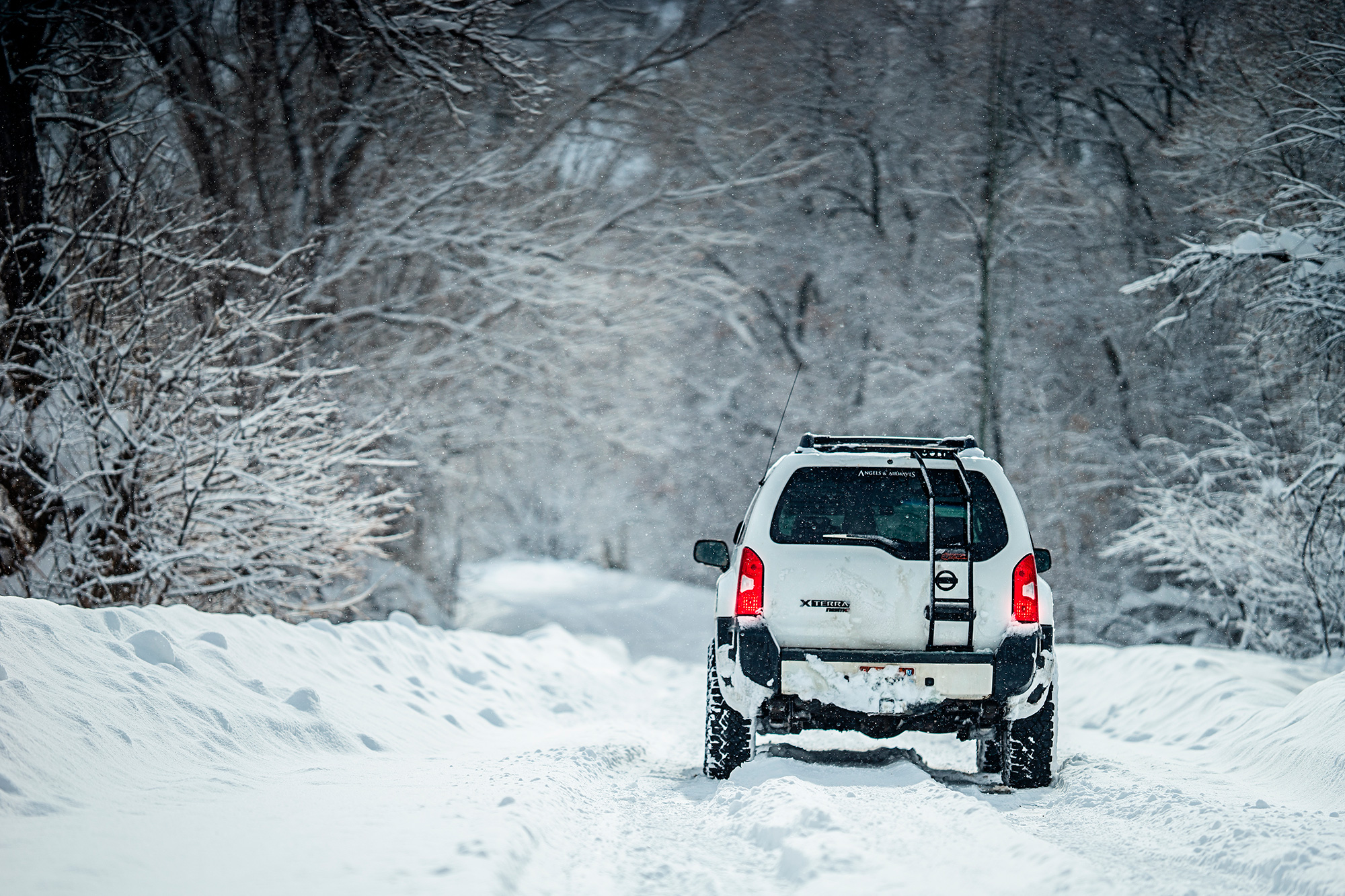 winter landscape