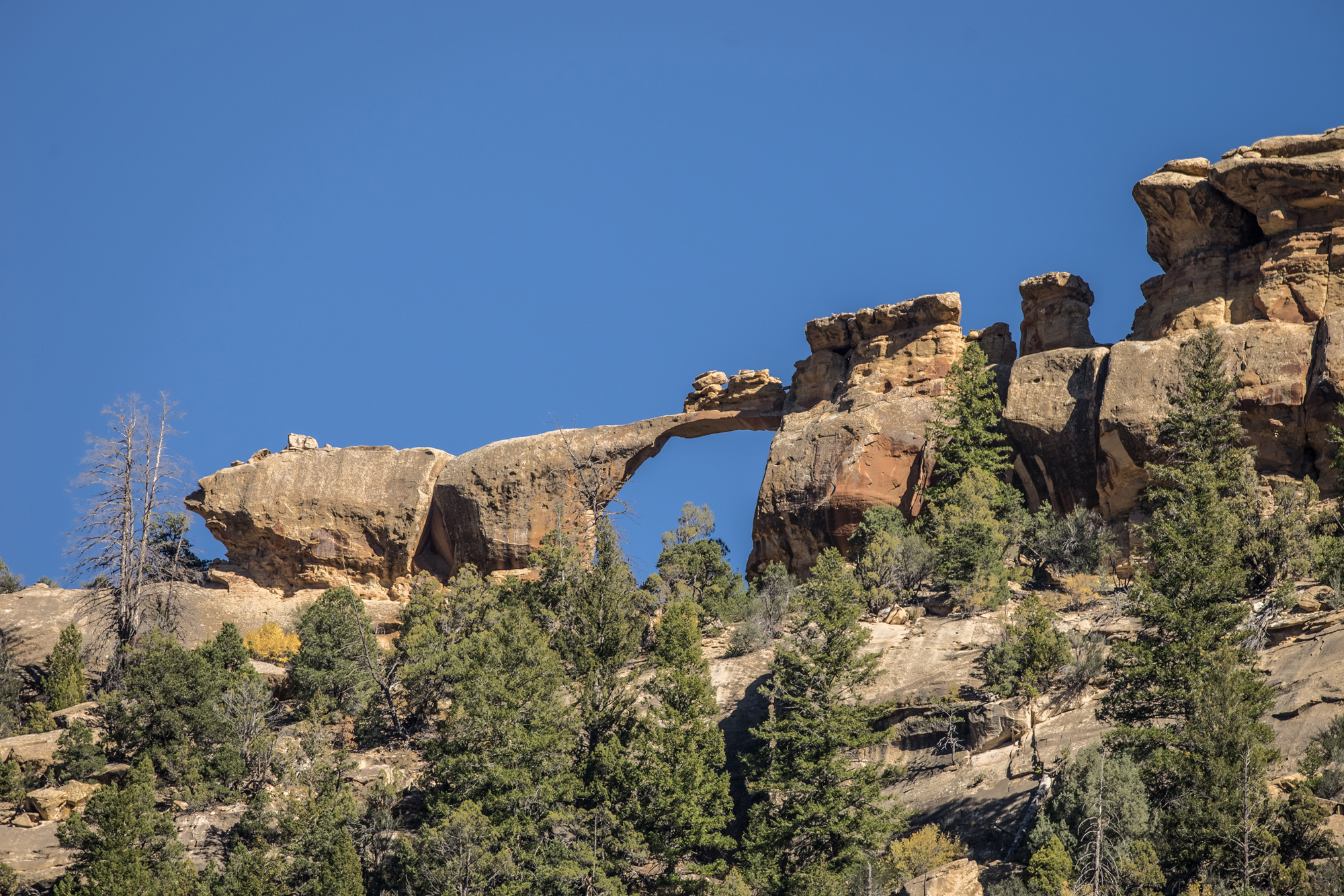range_creek_RS1622_photo-pano5-arch1-1 range_creek_RS1622_photo-pano5-arch1-1