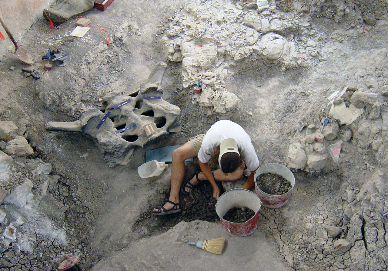 Digging-for-dinosaur-bones-Quarry Digging-for-dinosaur-bones-Quarry