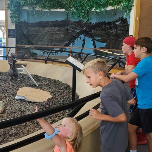 Museum of San Rafael Kids Museum of San Rafael Kids