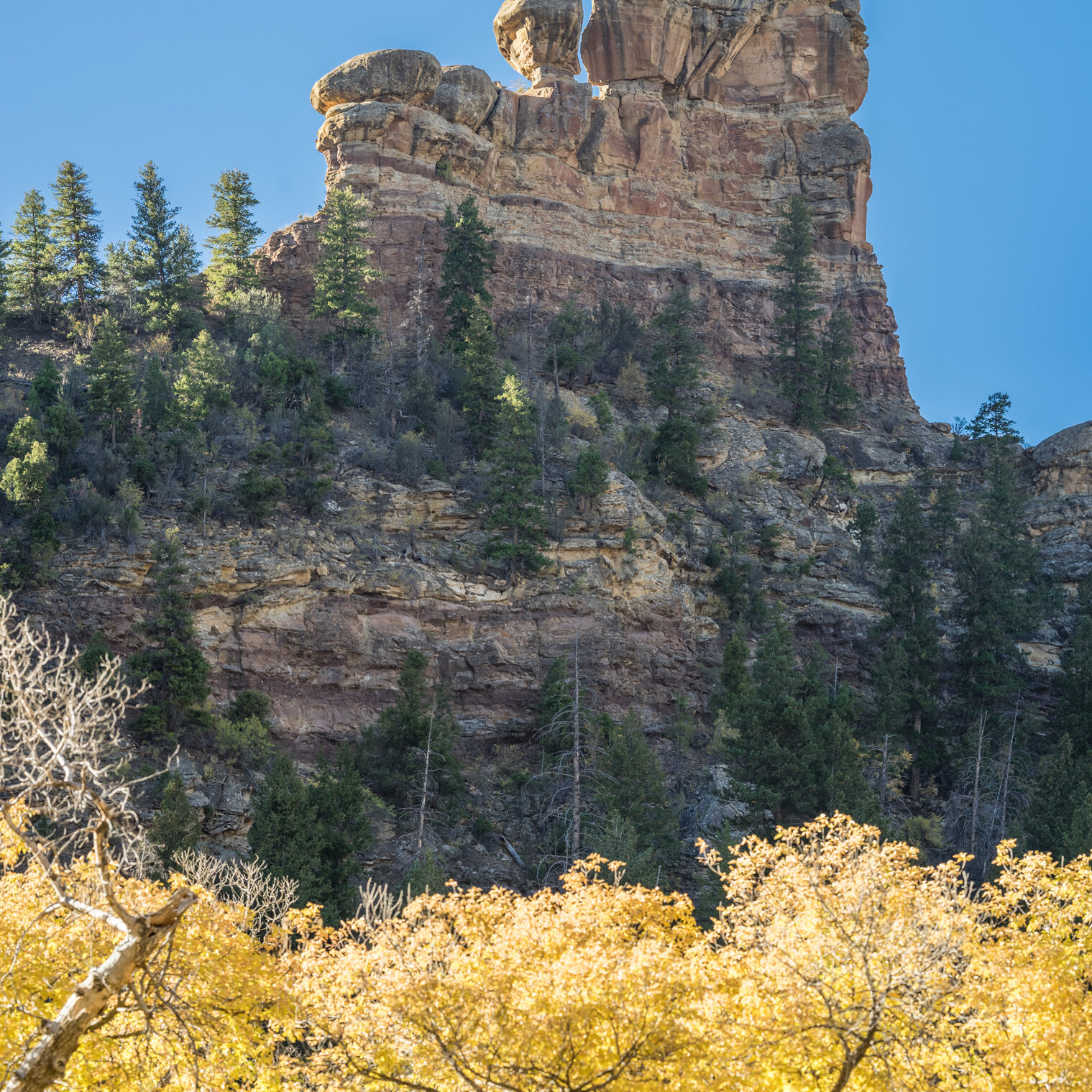 range_creek_RS1619_photo-pano2-1